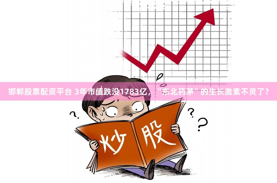 邯郸股票配资平台 3年市值跌没1783亿，“东北药茅”的生长激素不灵了？