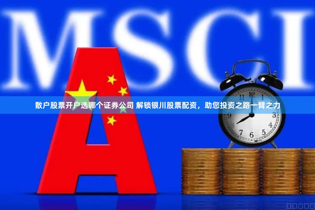 散户股票开户选哪个证券公司 解锁银川股票配资,助您投资之路一臂之力