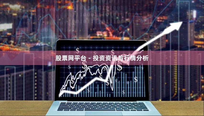 股票网平台 - 投资资讯与行情分析